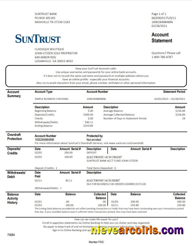 USA Georgia SunTrust bank proof of address statement in .doc and .pdf format
